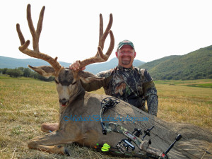 MB Colorado Mule Deer2 wm